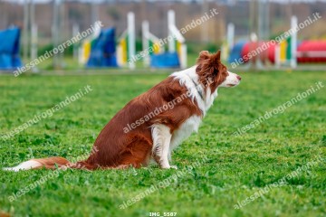 IMG_5587.jpg
