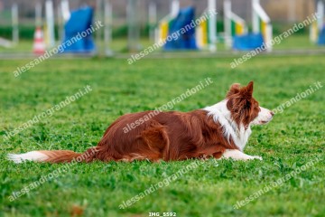 IMG_5592.jpg