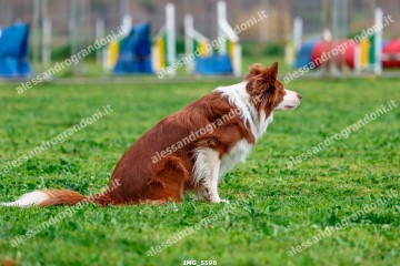 IMG_5596.jpg