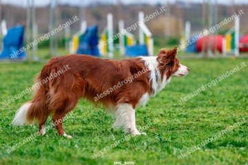 IMG_5600.jpg