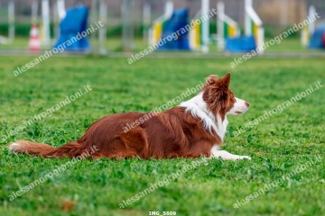 IMG_5609.jpg