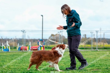 IMG_5622.jpg
