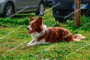 IMG_5645.jpg