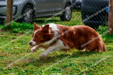 IMG_5649.jpg