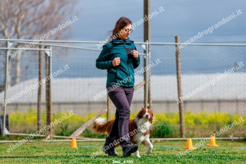 IMG_5703.jpg