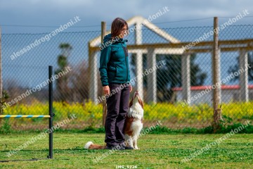IMG_5726.jpg