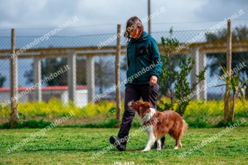 IMG_5738.jpg