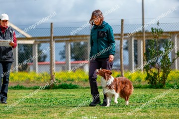 IMG_5744.jpg
