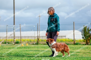 IMG_5766.jpg