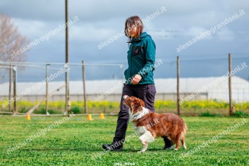 IMG_5769.jpg