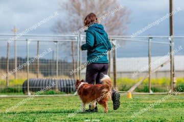 IMG_5789.jpg