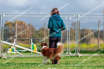 IMG_5796.jpg