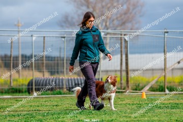IMG_5805.jpg