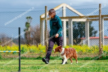 IMG_5820.jpg