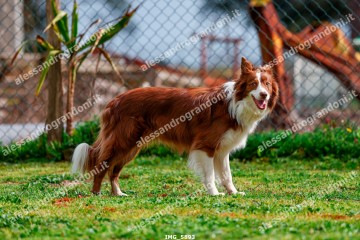 IMG_5893.jpg