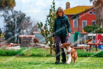 IMG_5899.jpg