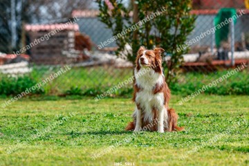 IMG_5911.jpg