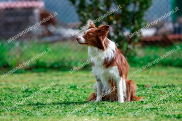 IMG_5916.jpg