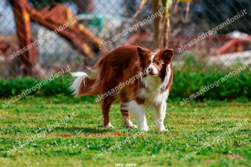 IMG_5956.jpg
