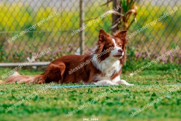 IMG_5964.jpg