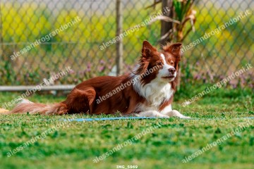IMG_5969.jpg