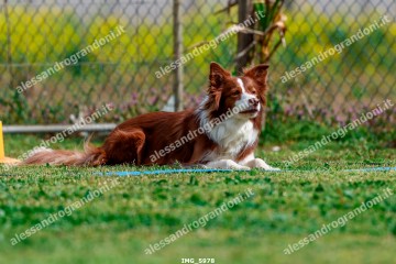 IMG_5978.jpg