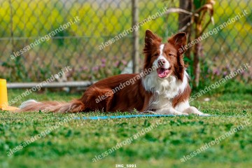 IMG_5991.jpg