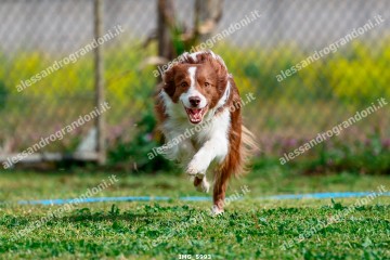IMG_5993.jpg