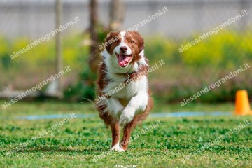 IMG_6004.jpg