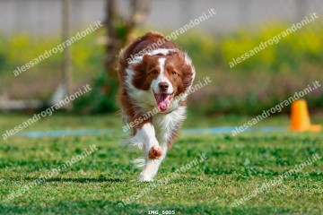 IMG_6005.jpg