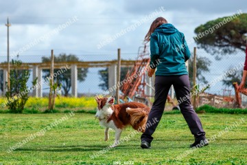 IMG_6022.jpg