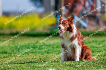 IMG_6074.jpg