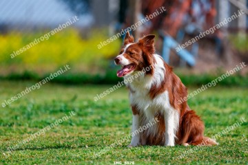 IMG_6078.jpg