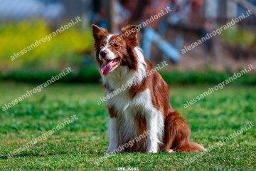 IMG_6085.jpg
