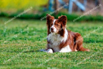 IMG_6102.jpg