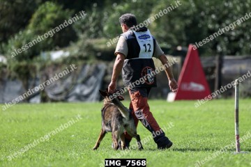 IMG_7568.jpg