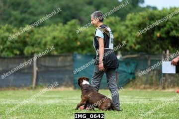 IMG_0642.jpg