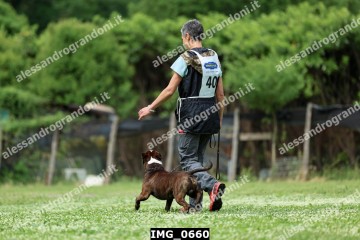 IMG_0660.jpg
