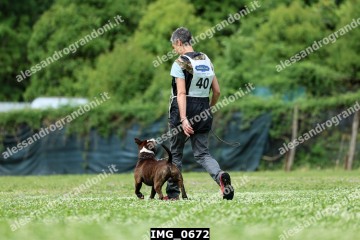 IMG_0672.jpg