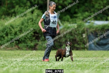 IMG_0702.jpg