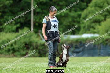 IMG_0763.jpg
