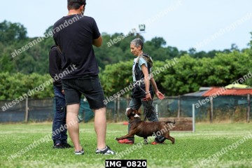 IMG_0820.jpg