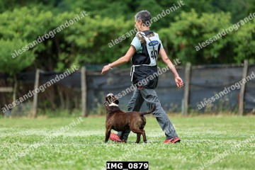 IMG_0879.jpg