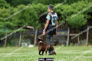 IMG_0890.jpg