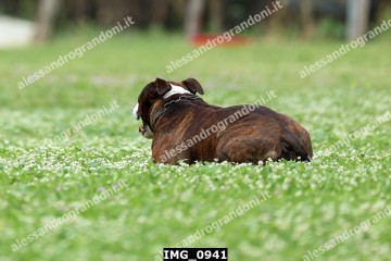 IMG_0941.jpg