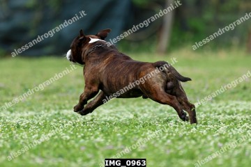 IMG_0963.jpg