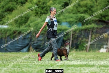 IMG_0990.jpg