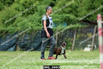IMG_0993.jpg