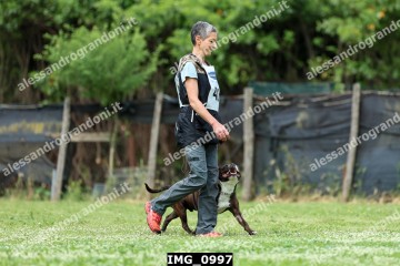 IMG_0997.jpg