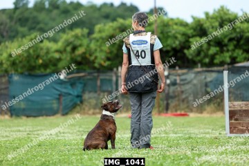IMG_1041.jpg